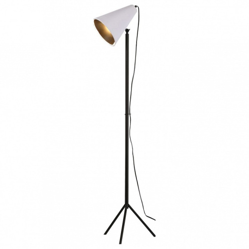 Торшер Lussole Cozy GRLSP-0564. Фото №1