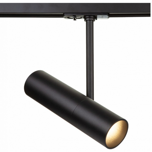 Светильник на штанге Maytoni Elti TR005-1-GU10-B. Фото №1