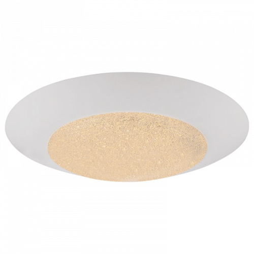 Накладной светильник Globo Mio 49002-24. Фото №1