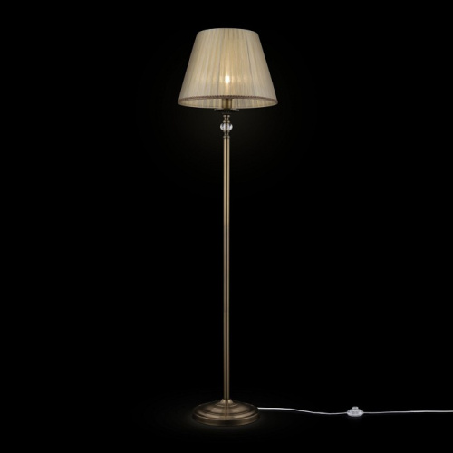 Торшер Maytoni Soffia RC093-FL-01-R. Фото №2