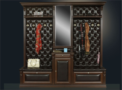 Прихожая Благо 5 Б 5.11-15. Фото