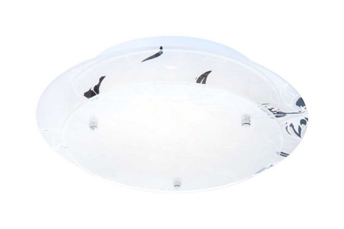 Накладной светильник Globo Claire 48077. Фото №1