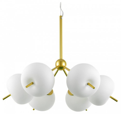 Подвесная люстра Favourite Bacca 2643-6P. Фото №1