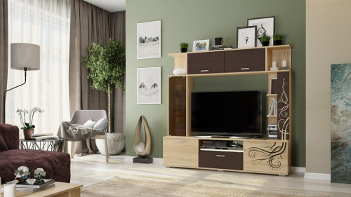 Ника Мини-стенка дуб сонома/венге. Фото №1