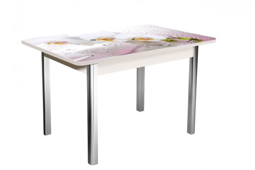 Стол Победа 1200 не раздвиждной. Фото №1